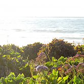 La Jolla